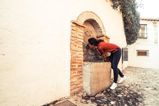 4 neighborhoods 4 cultures. Half day private tour in Granada - Albaicín: al-Andalus in alleyways, squares, and viewpoints