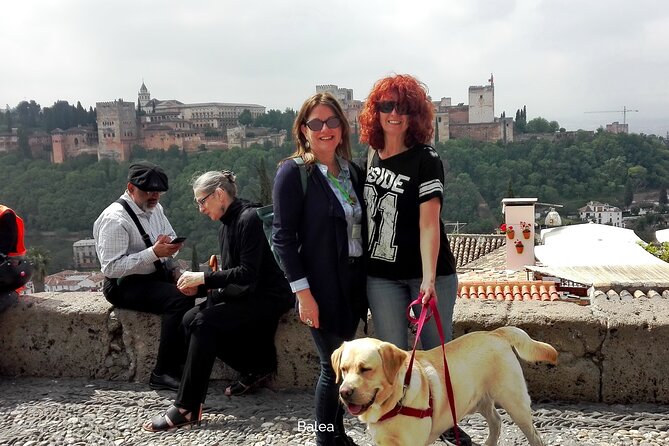 Albaicin guided tour with dogs - Meeting at Plaza Nueva and Setting a Pace That Works