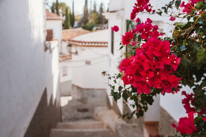 Albaicín & Sacromonte Walking Tour - Sacromonte caves and flamenco zambras in the hills