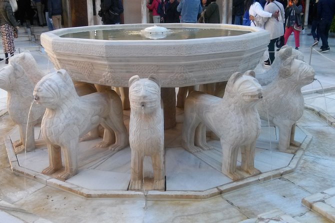 Alhambra and Granada City Center sightseeing tour! - Practical tips for a smooth Alhambra morning or afternoon