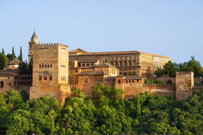 Alhambra entrance with Nazaries Palaces and audio guide without queues - What you’ll see: Nasrid Palaces first