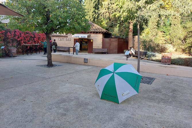 Alhambra Guided Tour, Nasrid Palaces and Generalife - Getting There: Walking vs Taxi vs Bus