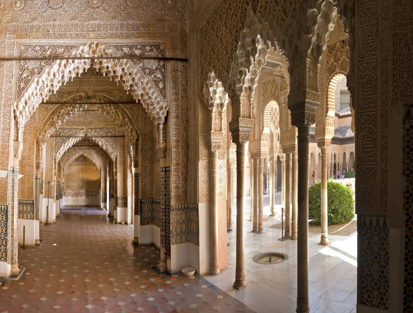 Alhambra Guided Tour with Fast-Track Entry - Price: what $81 buys (and what it’s trying to prevent)