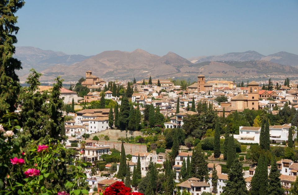 Alhambra, Nasrid Palaces and Albaicin Tour - The morning start: meeting points and getting into Alhambra smoothly