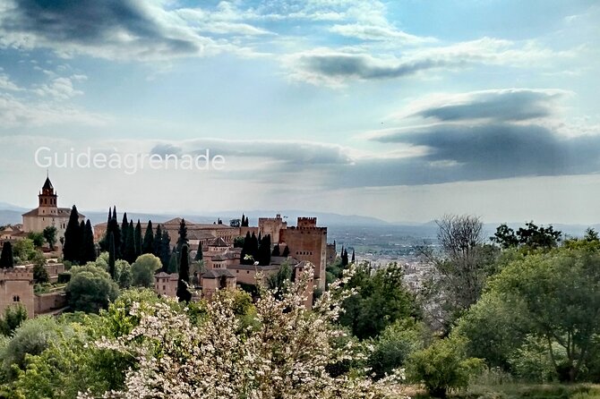 Alhambra Private Tour: Nasrid Palaces and Generalife - Entering the Alhambra Area: Your 3-hour plan starts at Generalife