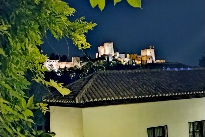 Alhambra Private Tour: Nasrid Palaces and Generalife - Who this Alhambra private tour is best for