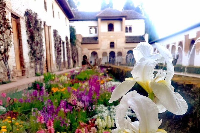 Alhambra Private Tour with Tickets to the Nasrid Palaces - What to do before you arrive at the meeting point