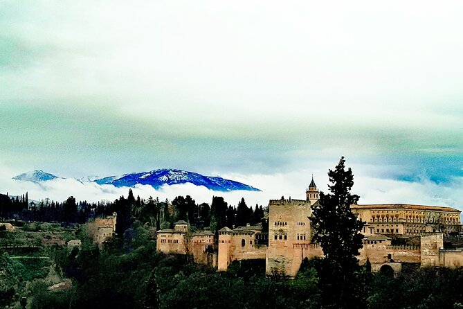 Alhambra Private Tour with Tickets to the Nasrid Palaces - Who this tour suits best