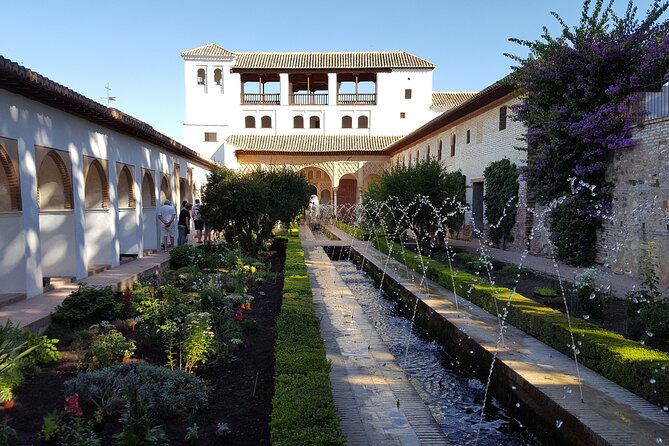 Alhambra private tour with tickets - Inside the Nasrid Palaces: where the art and details make sense