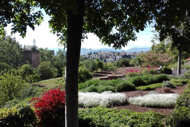 Alhambra private tour (without tickets) total/group Max 15 people - Meeting at Patronato: Where You Start and Why That Helps