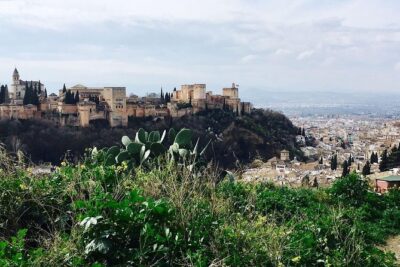 Alhambra private tour (without tickets) total/group Max 15 people - Generalife Gardens and the Water-Always-Present Courtyards