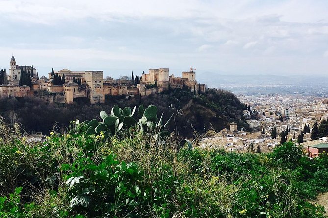 Alhambra private tour (without tickets) total/group Max 15 people - Generalife Gardens and the Water-Always-Present Courtyards