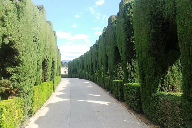 Alhambra Privilege ...a 5</em> Experience – Crowd Pressure, Silence, and the Night Mood’ /><br />
The Alhambra is famous for its details. But in public hours, those details get bulldozed by crowd flow. This experience is designed to keep you away from the tourist crowd during the timed out-of-hours slot.</p>
<p><p>What you’re aiming for is simple: you want to hear the place. Night changes the soundscape. Your footsteps become louder. Your voice becomes more noticeable. Even the pauses feel meaningful.</p>
</p>
<p><p>The tour description leans into that idea with phrases like exclusive silence and intimate spaces with special lighting. The practical effect for you is that your brain shifts from “look fast” to “look long.” And when you look long, patterns, symmetry, and the emotional tone of the architecture become clearer.</p>
</p>
<p><p>One family mention also pointed out that the entry didn’t involve an annoying line, thanks to the setup. That’s not a guaranteed promise written in stone, but it matches the whole structure: exclusive access plus tickets included.</p>
</p>
<h2 id="sunset-viewpoints-and-special-lighting-what-you-should-expect">Sunset Viewpoints and Special Lighting (What You Should Expect)</h2>
<p> Experience – Sunset Viewpoints and Special Lighting (What You Should Expect)’ /><br />
The overview mentions enjoying <strong>sunset from unique viewpoints</strong> and experiencing intimate spaces with <strong>special lighting</strong>. Even if you don’t get every last golden-hour minute perfectly (Spain’s sunsets vary by season), the concept is clear: this is scheduled for the lighting mood that makes the Alhambra look like itself but also like something else—cinematic and hushed.</p>
<p><p>So if you care about night photos or just want the palace to feel more dramatic, this format is the right one. It’s not only about visiting after dark; it’s about visiting with light, timing, and pacing working together.</p>
</p>
<h2 id="value-for-the-price-is-5002-86-per-person-worth-it">Value for the Price: Is $5,002.86 per Person Worth It?</h2>
<p> Experience – Value for the Price: Is $5,002.86 per Person Worth It?’ /><br />
Let’s talk money without drama. At around <strong>$5,002.86 per person</strong> for roughly <strong>2 hours</strong>, this is not a “split it with friends” bargain. It’s a premium experience, and you pay for a few key things that matter:</p>
<ul>
<li><strong>Out-of-hours access</strong> when the monument is closed to the general public</li>
<li><strong>Exclusive access</strong> (private group, only your group participates)</li>
<li><strong>Admissions included</strong> for the Nasrid Palaces</li>
<li><strong>An official specialist guide</strong> with professional knowledge</li>
<li><strong>VIP experience framing</strong> and a customized pacing approach</li>
</ul>
<p><p>Where this becomes value is in what you avoid. You avoid the most frustrating parts of the typical Alhambra visit: crowd squeeze, rushed stops, and the “you blink and move on” feeling. You also avoid paying separately for palace tickets since admission is included.</p>
</p>
<p><p>Who should do it? People who really want the Alhambra to feel personal. Couples chasing romance and atmosphere. Families who want clarity and structure rather than chaos. Anyone who has been before in daylight and wants to see it differently, with time to actually understand what they’re looking at.</p>
</p>
<p><p>Who might skip? If you’re traveling on a tight budget or you’re fine with a more standard daytime visit where you accept crowds and shorter explanations. This tour is priced like a night at the theater—worth it when you want the full performance.</p>
</p>
<h2 id="who-this-private-alhambra-privilege-tour-fits-best">Who This Private Alhambra Privilege Tour Fits Best</h2>
<p><img width="667" height="446" decoding="async" src=