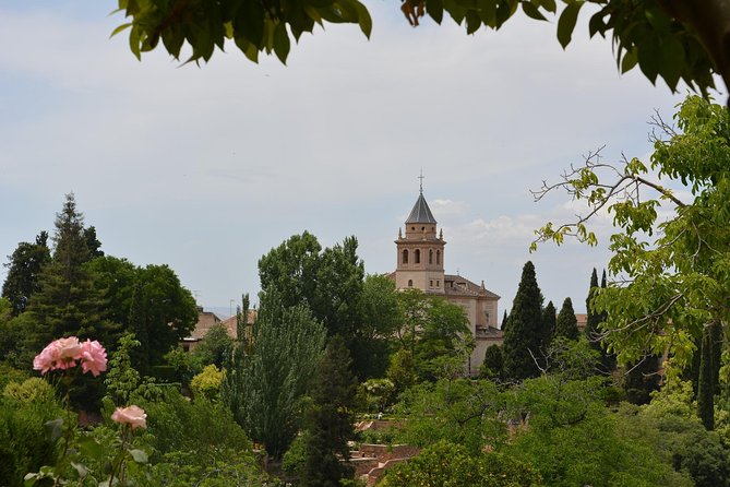 Alhambra Skip-the-Line Guided Tour - How the tour actually flows (and why that helps)