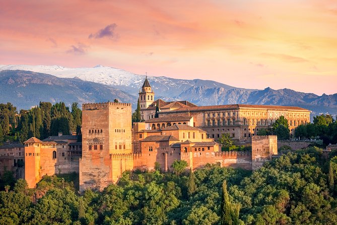 Alhambra Ticket and Guided Tour with Nasrid Palaces - Is skip-the-line worth it? Yes, if you care about time
