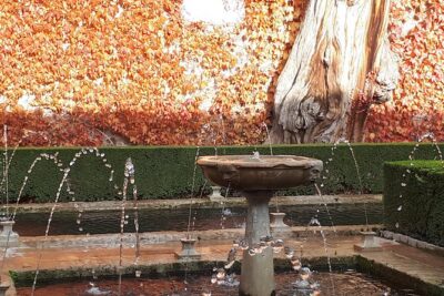 Alhambra Tour :Generalife Gardens ,Palaces and towers.Skiptheline - Where you meet and how the timing works
