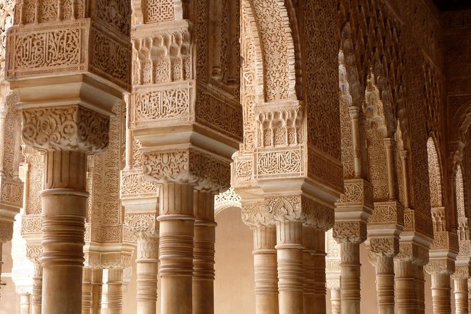 Alhambra Visit with Private Official Guide in Granada - Stop 3: Nasrid Palaces at a fixed time