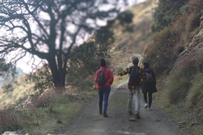Alpujarra Private DayTrip from Granada - Pampaneira: jarapas, narrow lanes, and smart free-time options