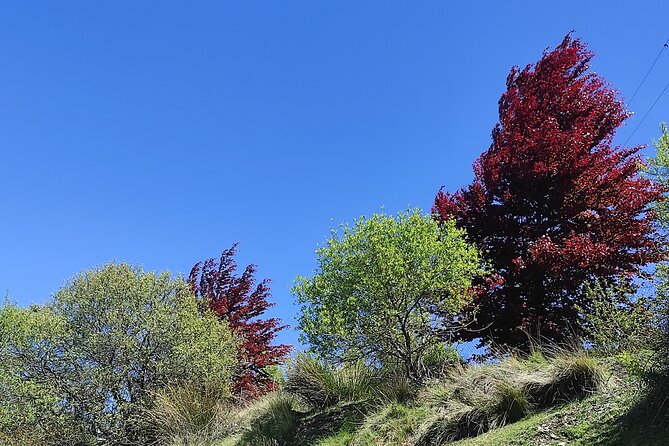 Alpujarra Private DayTrip from Granada - Capilerilla: the cortijos viewpoint and a light hike