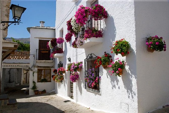 Alpujarras Day Trip Private or Small Group Tour - From Granada at 8:30: How the Day Really Flows