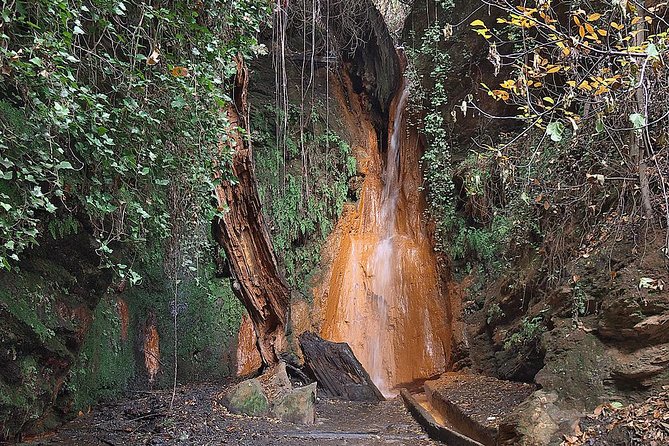 Alpujarras Day Trip Private or Small Group Tour - Fuente Agria Waterfall: When Mineral Water Steals the Scene