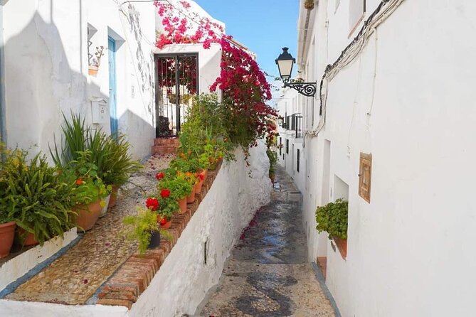 Coasts and Mountains: Nerja to Frigiliana with Nerja Caves Small-Group Day Trip - How the guides shape the day (and why that matters)