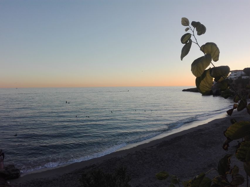 Day Tour to Frigiliana & Nerja from Granada - Key highlights to look for