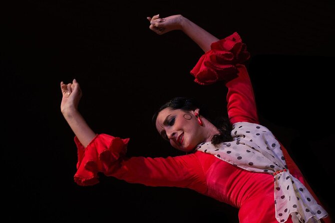 Flamenco Show in Cueva Zincalé - Should you book Cueva Zincalé flamenco in Granada?