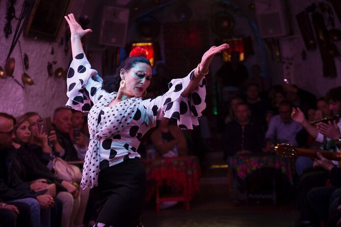 Flamenco Show in the Caves of Sacromonte - The Ensemble and Flamenco Styles You’ll See