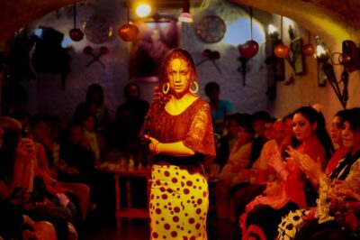 Flamenco Show: Zambra in Cuevas del Sacromonte - Price and value: $33 for a cave show plus a drink