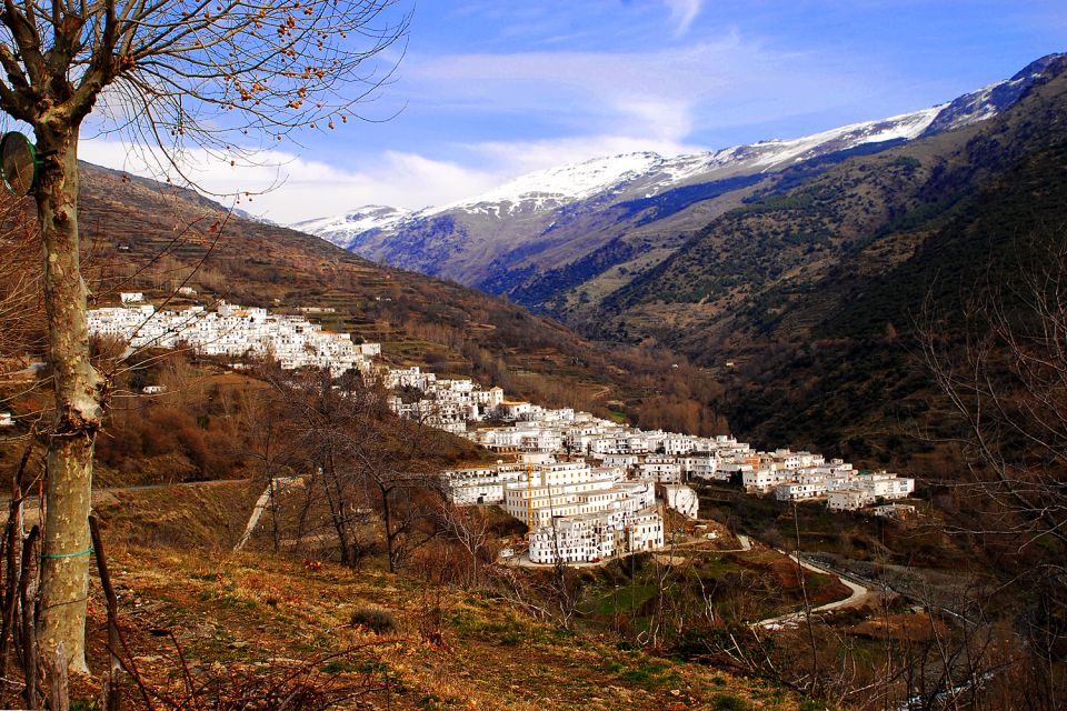 From Granada: Day Trip to Trevélez with Ham Factory - Fuente Agria spring water and the Chorrerón waterfalls moment