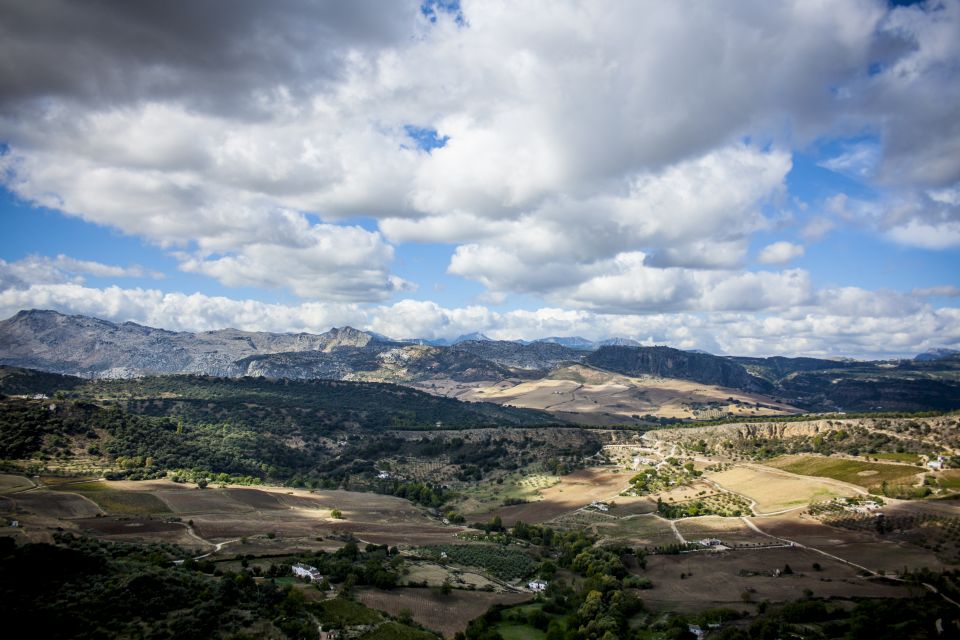 From Granada: Top Sights of Ronda Tour - Getting there: the mountain drive from Granada