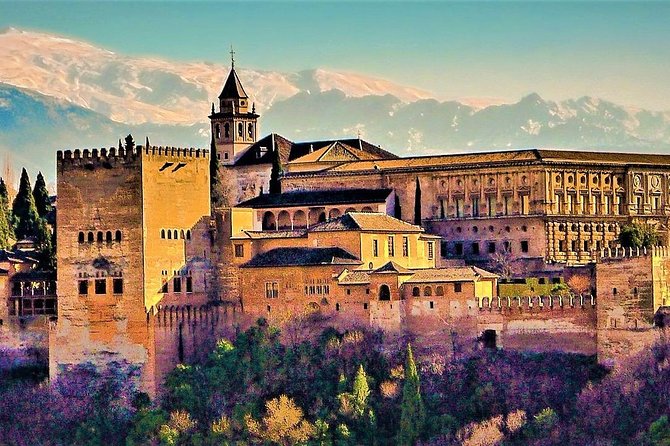 Full Alhambra tour with preferential access (SPANISH language) - Why Preferential Access Matters at the Alhambra