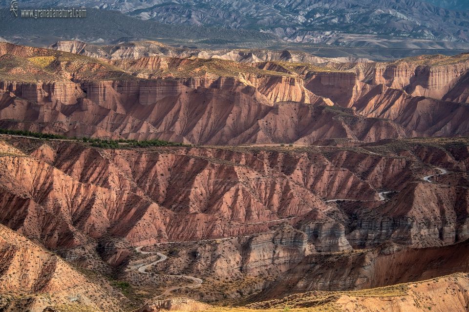 Gorafe: Los Coloraos Desert 4x4 Tour - Los Coloraos in a 4x4: what makes it different from a normal excursion?