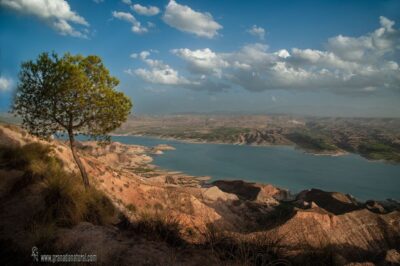 Gorafe: Los Coloraos Desert 4x4 Tour - From Guadix: easy pickup, then off-road reality