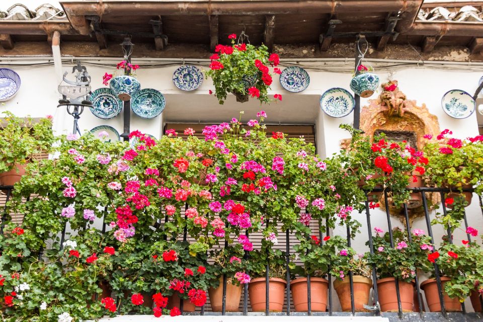 Granada: 2hour Tour of The Albaicín & Sacromonte Premium - Arabian-era squares and story details you’ll remember
