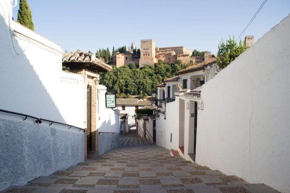Granada: Albaicín & Sacromonte Walking Tour & Flamenco Show - The flamenco show in the city center: what to watch for