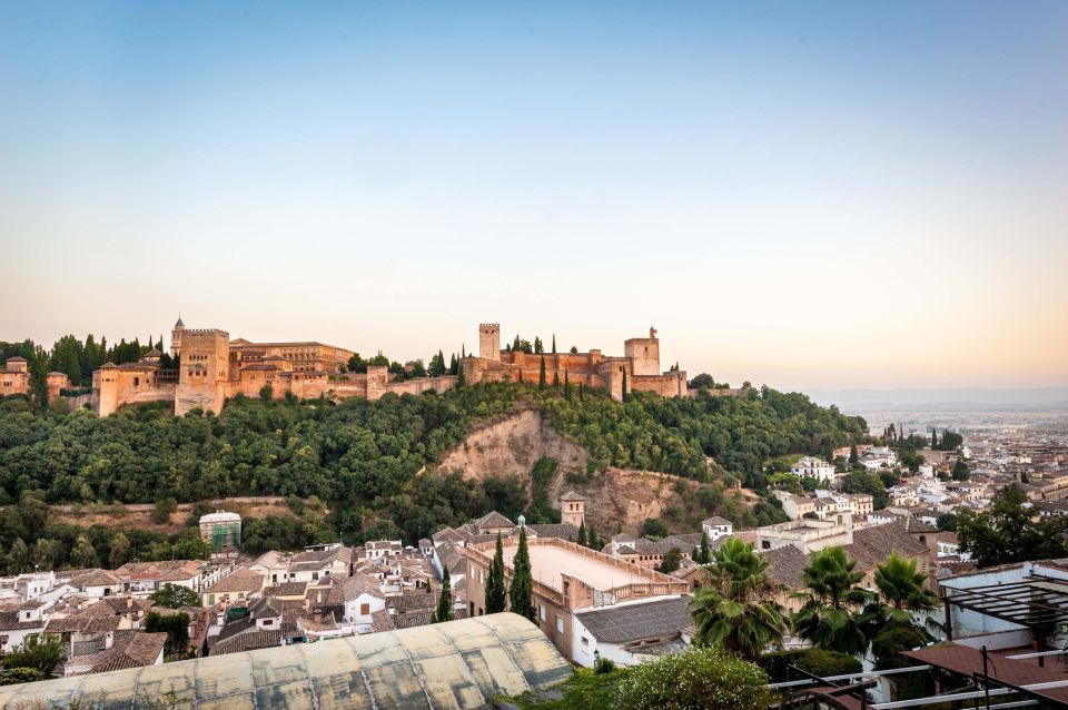 Granada: Alhambra Complex Guided Tour Options - How Skip-the-Line Entry and a 2–3 Hour Window Work in Real Life