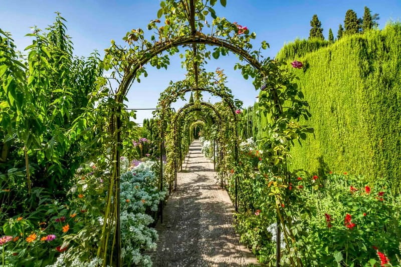 Granada: Alhambra & Gardens Tour w/Nasrid Palaces Option - Alcazaba Fortress: Oldest Military Ground Above Granada