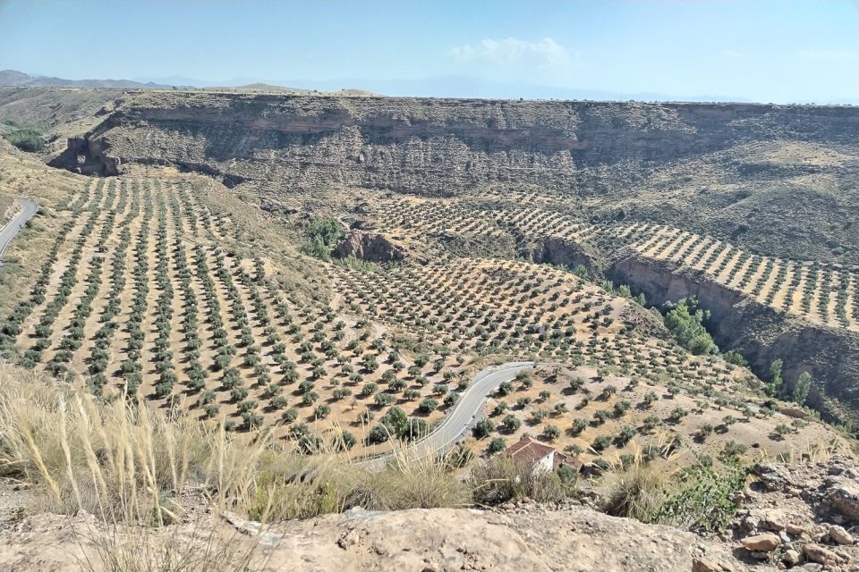 Granada: End of the World Viewpoints 4x4 Tour in the Geopark - Olla de Guadix and Geopark Valleys: Learning the Terrain, Not Just Photographing It