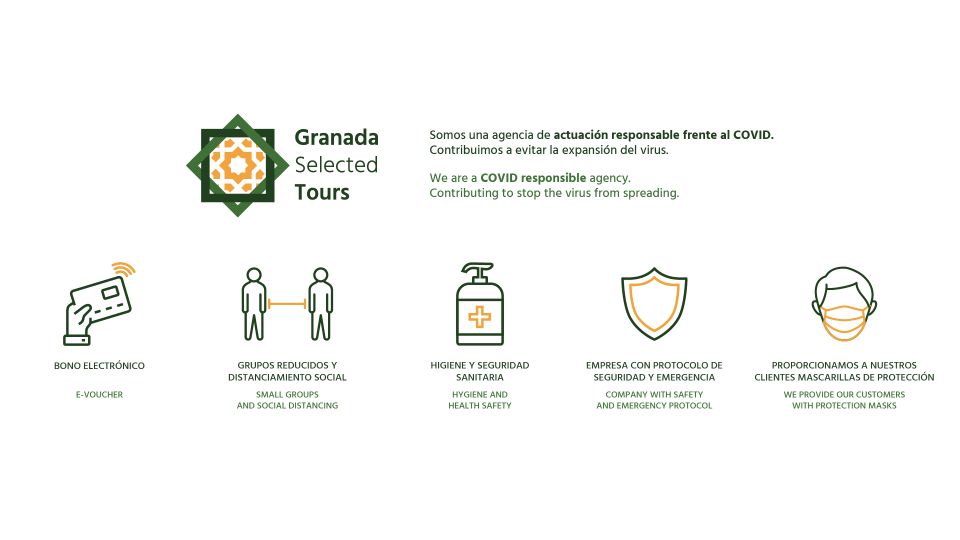 Granada: Fast-Track Alhambra & Nasrid Palaces Guided Tour - Meeting Your Guide and Getting Oriented Fast