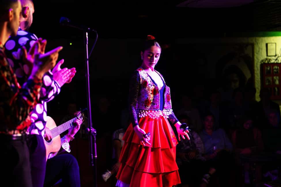 Granada: Flamenco Show at Tablao Flamenco Albayzín - Language help and accessibility you can count on