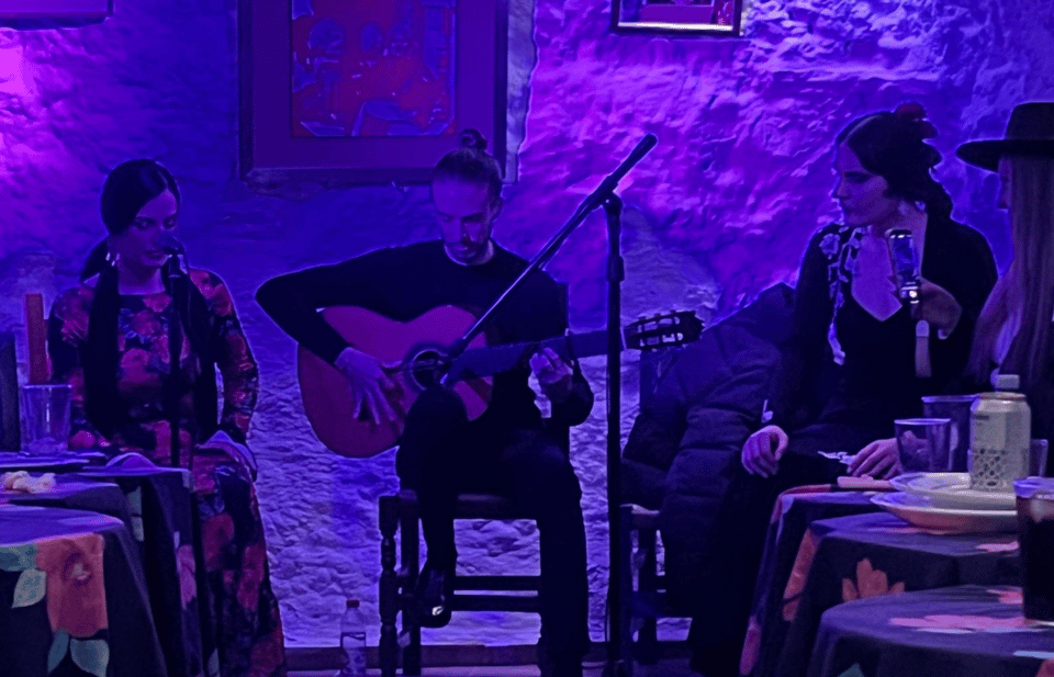 Granada: Flamenco Show in the Cave LA FARAONA - What’s included, what’s not, and how to avoid a planning headache