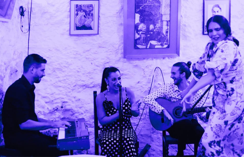 Granada: Flamenco Show in the Cave LA FARAONA - Who should book this flamenco show at Cueva La Faraona?