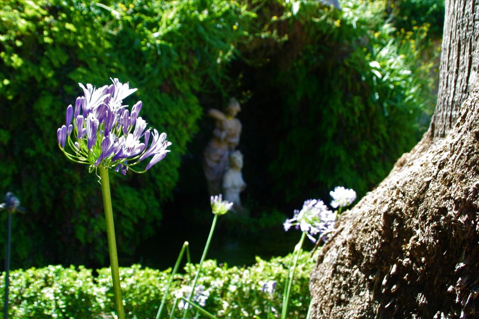 Granada: Gardens of Carmenes Guided Tour - Stop 1: Carmen de los Mártires and its garden contrasts