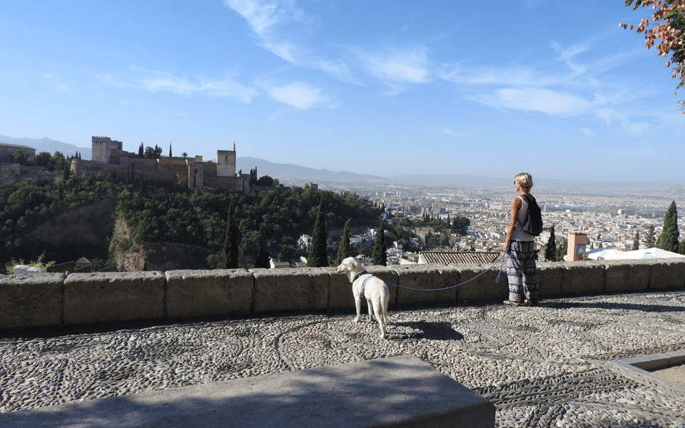 Granada: Guided Albaicín Visit with Pets - Key highlights at a glance