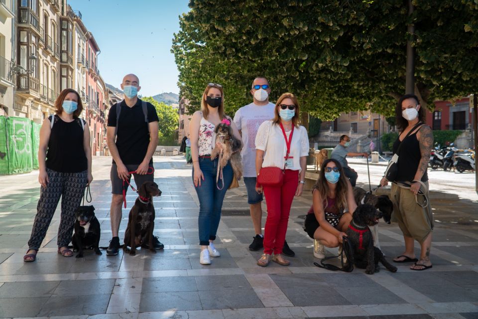 Granada: Guided Albaicín Visit with Pets - Why this Albaicín tour feels worth your time
