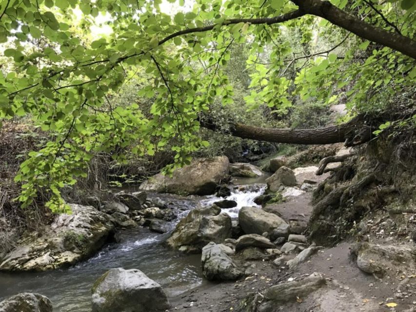 Granada: Guided Day Hike in Los Cahorros de Monachil - Key highlights you should care about