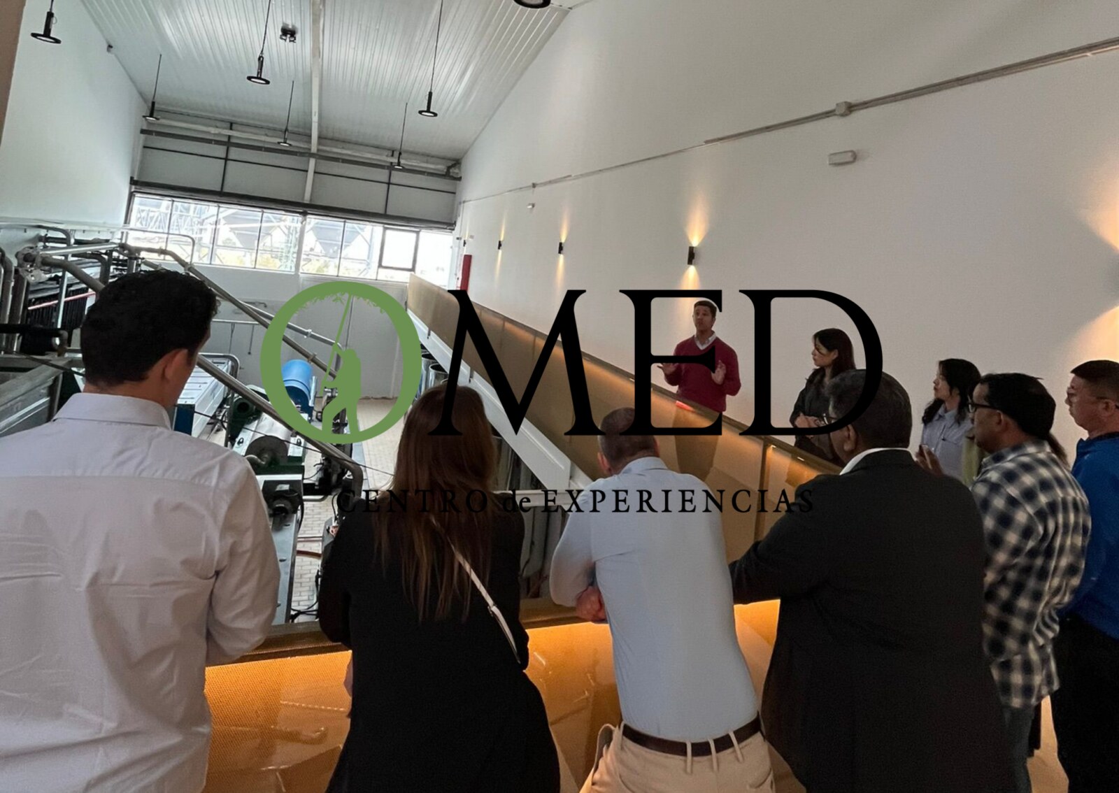 Granada in EVOO: Guided tour and unique sensorial tasting - From Granada to OMED: the short drive that sets the tone