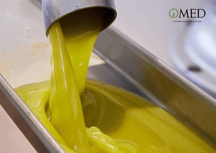 Granada in EVOO: Olive grove guided tour and sensory tasting - Should you book this Granada EVOO tour or skip it?